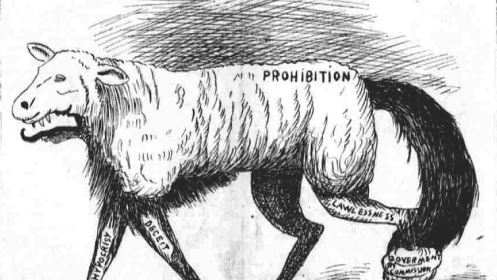 The Wolf and the Woolley Sheep